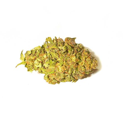 Blue Dream | Hanf-Hafen.de